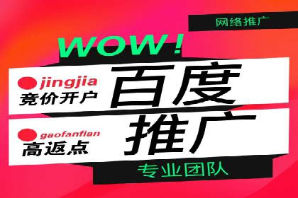 百度竞价包年案例：实现高效广告投放