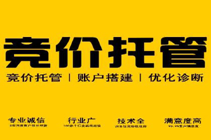 SEM营销推广：案例解读成功秘诀